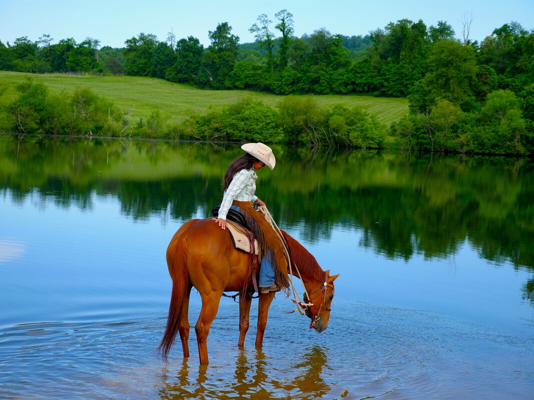 Horseback Riding and Trail Rides near Washington, DC - Marriott Ranch